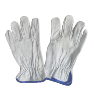 Sarung Tangan Kulit Putih